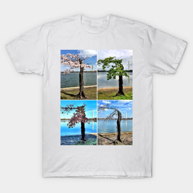 Stumpy in Four Seasons T-Shirt by LITDigitalArt